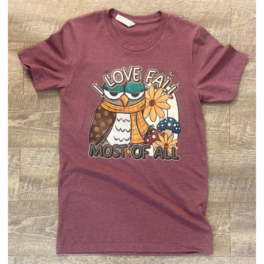 Bella Canvas, Women's T-shirt, Size Medium, Maroon -‎ Owl Fall, New